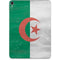 Algeria Flag Distressed Apple iPad Pro Skin